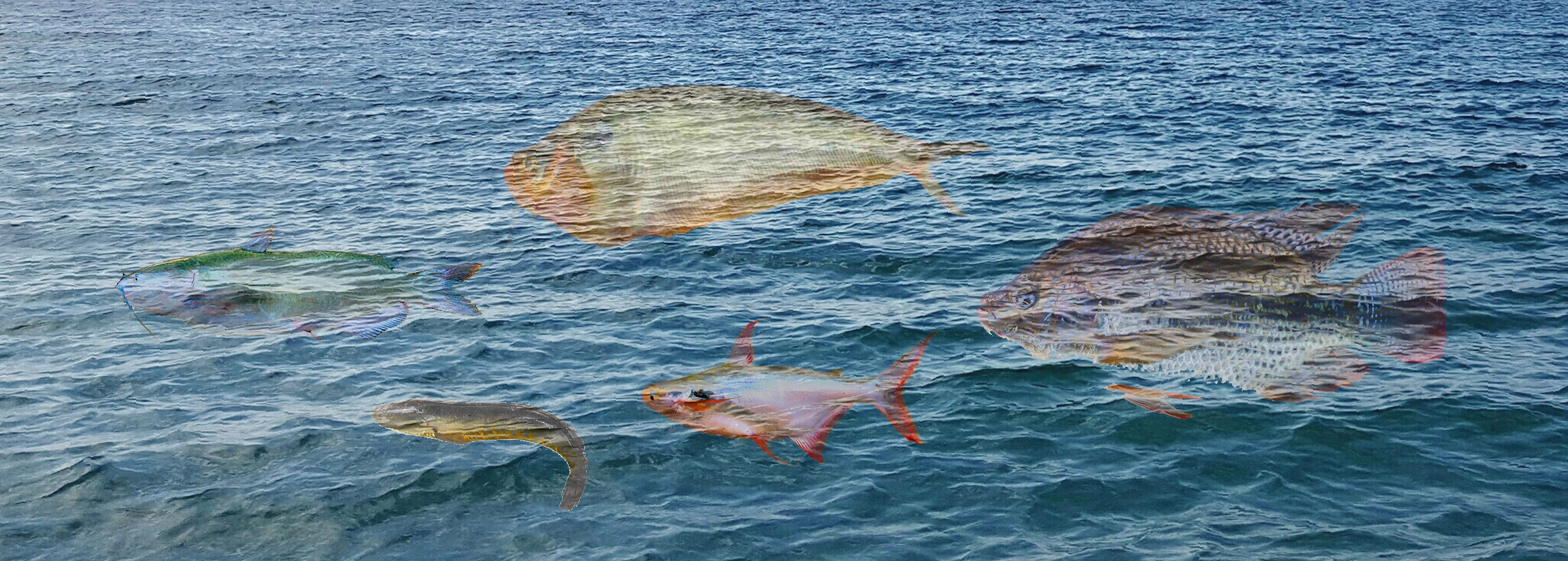 Chania